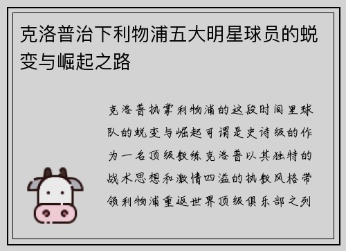 克洛普治下利物浦五大明星球员的蜕变与崛起之路