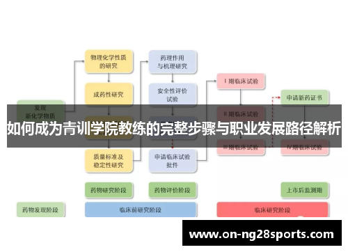如何成为青训学院教练的完整步骤与职业发展路径解析