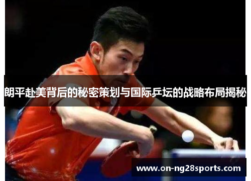/uploads/images/20250818/lang-ping-fu-mei-bei-hou-de-mi-mi-ce-hua-yu-guo-ji-ping-tan-de-zhan-lyue-bu-ju-jie-mi.webp